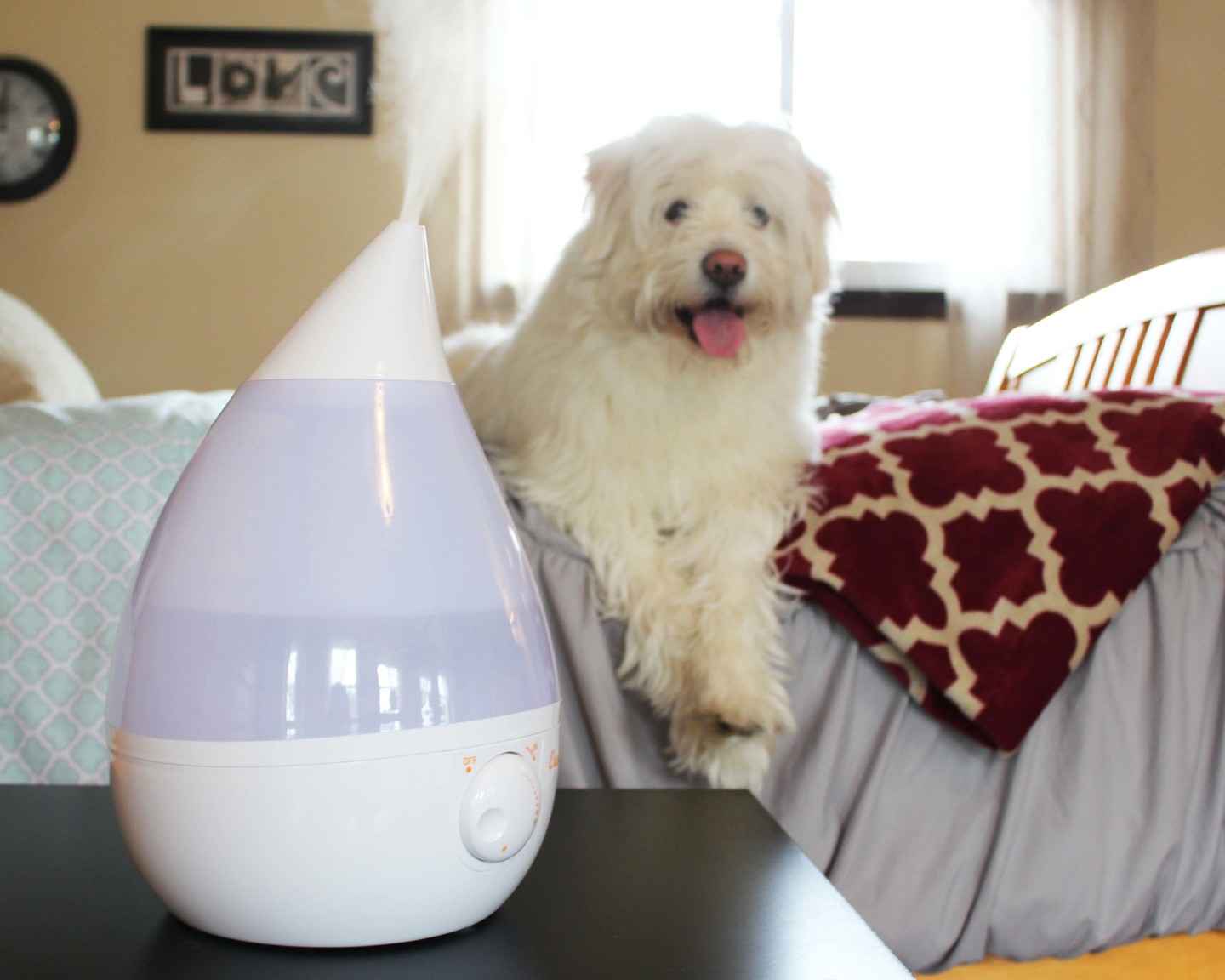Crane: Design for Better Living Prepping Puppy for Your Baby