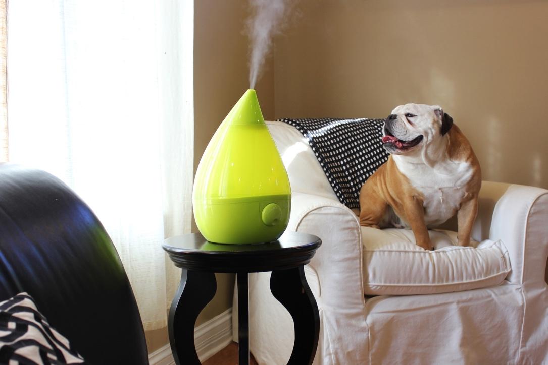 humidifier myths and truths green drop shape humidifiers bull dog chair style design for better living crane usa