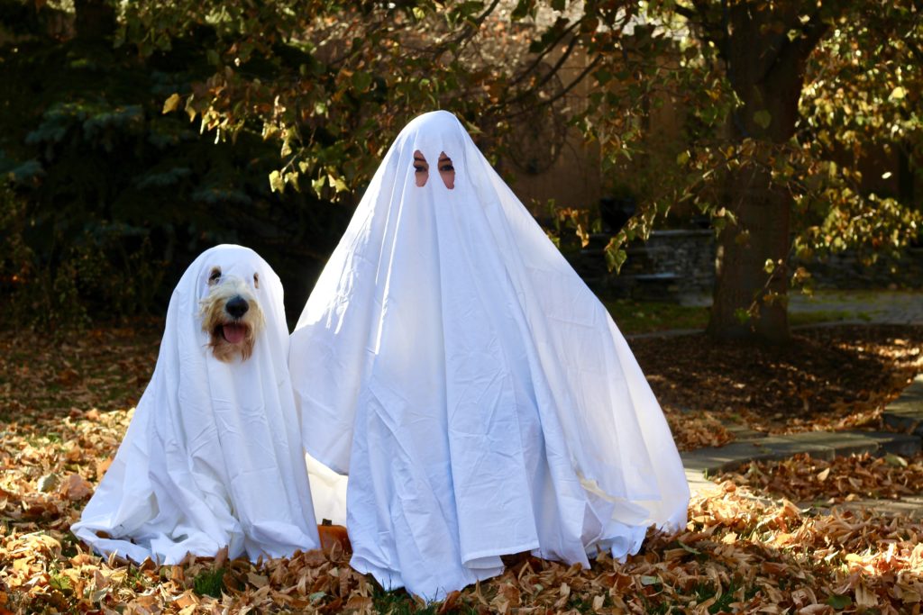 Spook-tacular Costumes for the Whole Family!