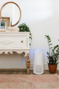 True HEPA Air purifier in living room