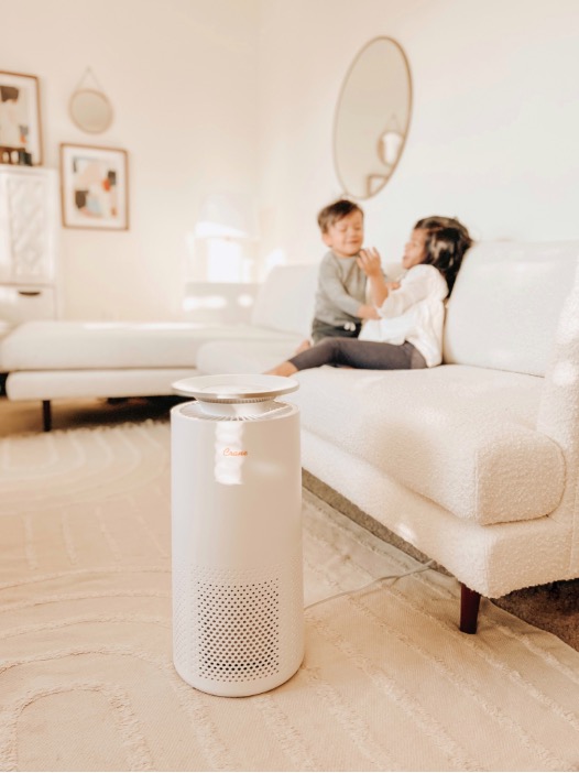 Air Purifier with Family