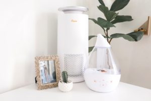 Air Purifier and Humidifier